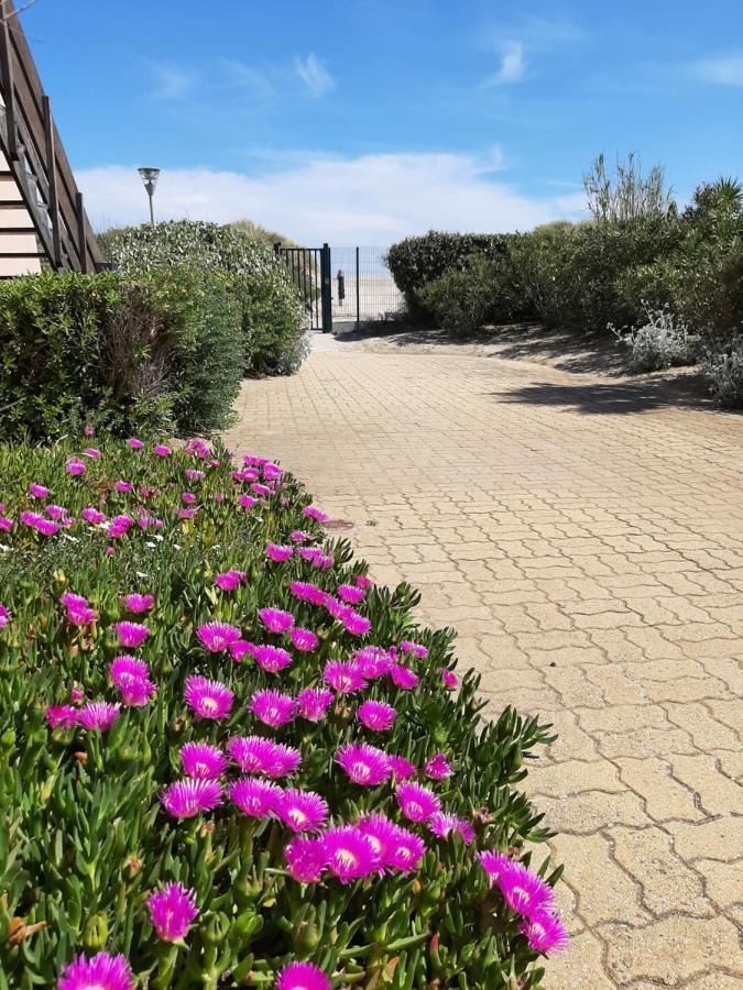 Plage De La Roquille Agde Esterno foto